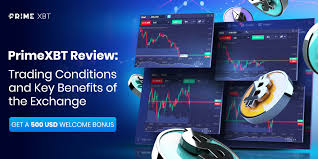Mastering the Markets A Comprehensive Guide to PrimeXBT Crypto Trading Education Mastering the Markets A Comprehensive Guide to PrimeXBT Crypto Trading Education